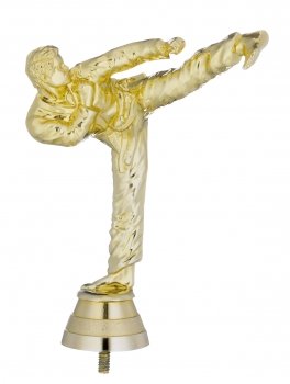 6inch GOLD KARATE MALE