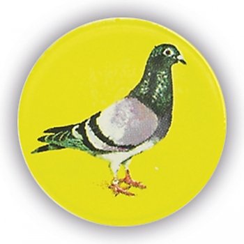 PIGEON 1InchDOMED CENTRE