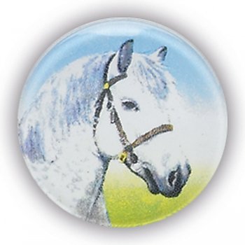 PONY 1InchDOMED CENTRE
