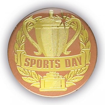 SPORTS DAY BRONZE 1InchDOMED CENTRE