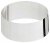 3.5" SILVER PLATED PLINTH BAND