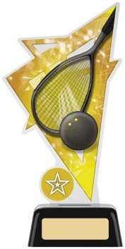 7.5InchSQUASH ACRYLIC AWARD