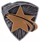 3.25" RESIN STAR INSERT