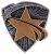 3.25" RESIN STAR INSERT