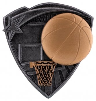 3.25inch RESIN BASKETBALL INSERT CASE 144