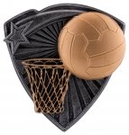 3.25" RESIN NETBALL INSERT CASE 144