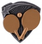 3.25"RESIN TABLE TENNIS INSERT CASE 144