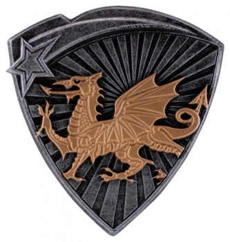 3.25inch RESIN WELSH DRAGON FRONT CASE 144