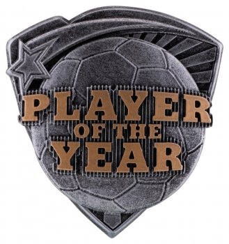 3.25inchRESIN PLAYER OF THE YEAR CASE 144