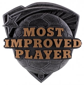 3.25inchMOST IMPROVED PLAYER CASE 144