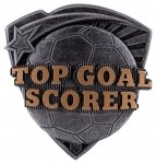 3.25"RESIN TOP GOAL SCORER CASE 144