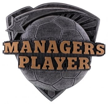 3.25inchRESIN MANAGERS' PLAYER CASE 144