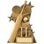 4.25"ASTRA CRICKET AWARD