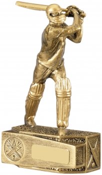 7.5inch CRICKET BATSMAN AWARD