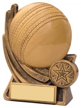 4.5inch CRICKET MOTION BALL AWARD