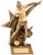 10.25" ZODIAC FEMALE FOOTBALL FIGURE AWARD