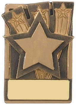 3.25InchFRIDGE MAGNET STAR AWARD T/110 S112 CASE 128