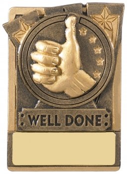 3.25InchFRIDGE MAGNET WELL DONE A T/110 S112 CASE 128