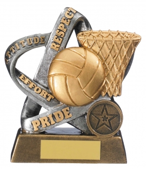 5inchINFINITY NETBALL AWARD