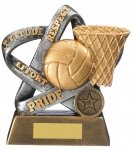 5.5"INFINITY NETBALL AWARD