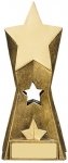 6.25" STAR AWARD