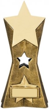 8inch STAR AWARD