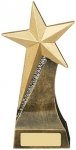 7" STAR AWARD