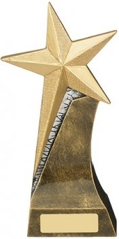 8Inch STAR AWARD