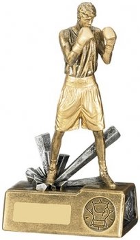 7.25inch BOXER MALE AWARD
