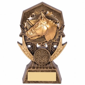140MM EQUESTRIAN STAR RESIN