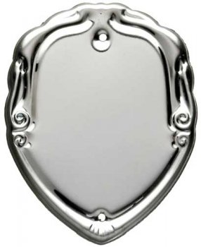 1.5inch CHROME STEEL TRIM SHIELD