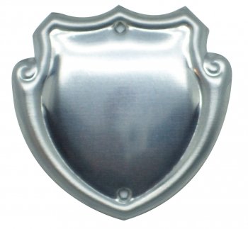 1.25inch CHROME STEEL TRIM SHIELD