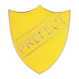 YELLOW PREFECT ENAMEL SHIELD